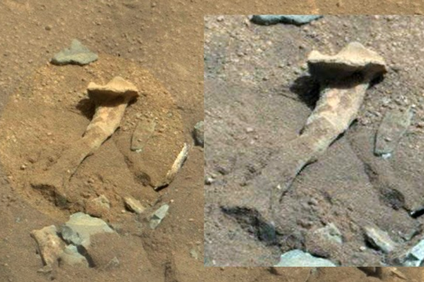 Alien-thigh-bone-on-Mars