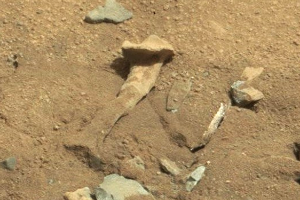 Alien-thigh-bone-on-Mars
