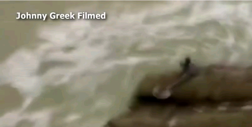 Mermaid Video