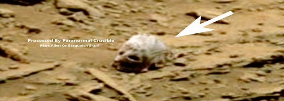Mars Sasquatch Skull